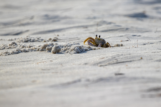 Gulf Islands National Seashore