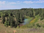 Get out and explore!