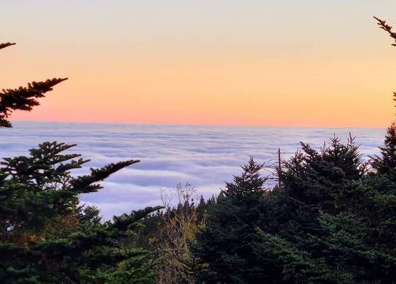 Great Smoky Mountains National Park 
