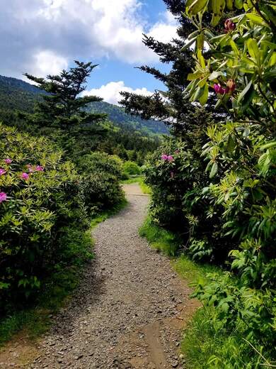 Cherokee National Forest