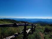 Pisgah National Forest