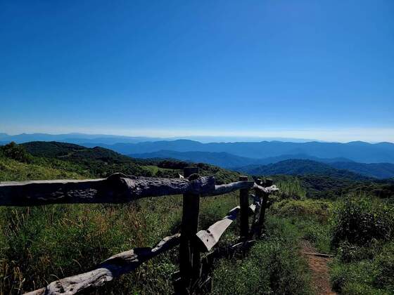 Pisgah National Forest