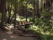 Yosemite National Park