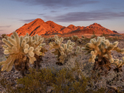 Kofa National Wildlife Refuge