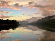 Allegany National Forest
