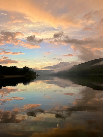 Allegany National Forest