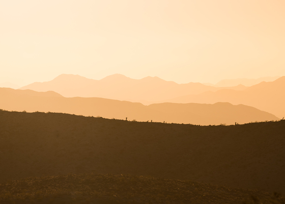 Joshua Tree National Park