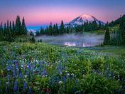 Mount Rainier National Park