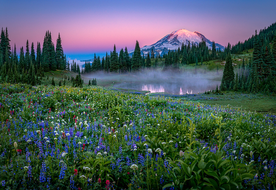 Mount Rainier National Park