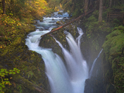 Olympic National Park