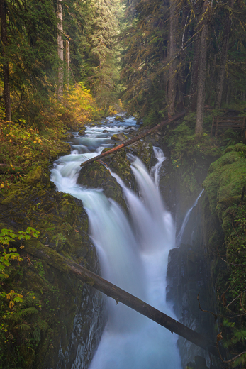 Olympic National Park