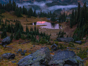 Mt. Rainier National Park