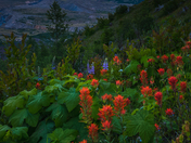 Mt. St. Helens National Monument