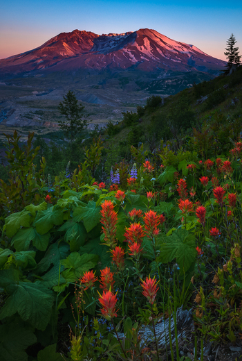 Mt. St. Helens National Monument