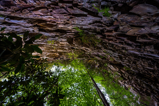 New River Gorge National Park