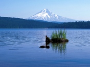 Mt. Hood National Forest