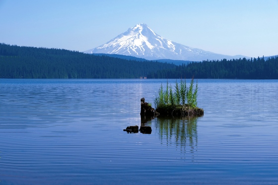 Mt. Hood National Forest