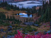Mt. Rainier National Park