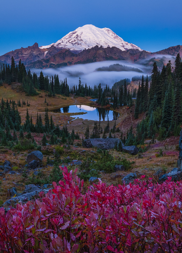 Mt. Rainier National Park