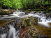Great Smoky Mountains National Park 