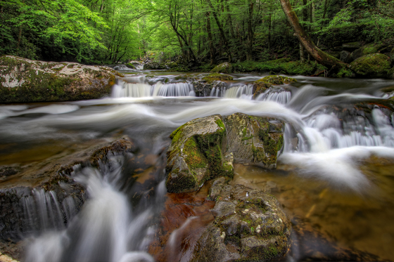Great Smoky Mountains National Park 