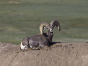 Badlands National Park