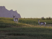 Badlands National Park