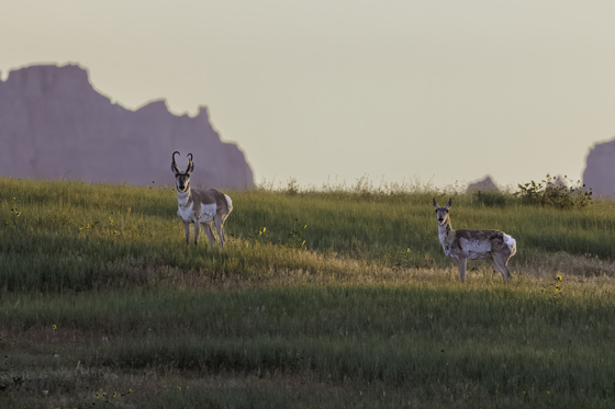 Badlands National Park