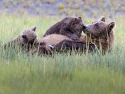 Lake Clark National Park and Preserve