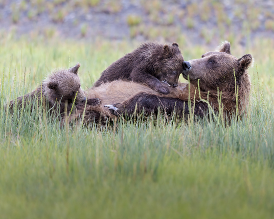 Lake Clark National Park and Preserve