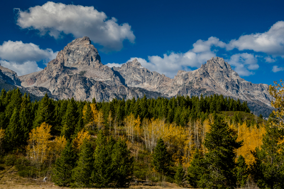 Grand Teton National Park