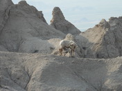 Badlands National Park