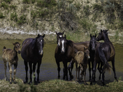 Little Missouri National Grassland