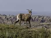 Badlands National Park