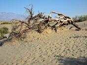 Death Valley National Park