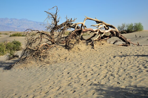 Death Valley National Park