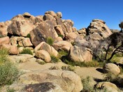 Joshua Tree National Park 