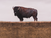 Badlands National Park