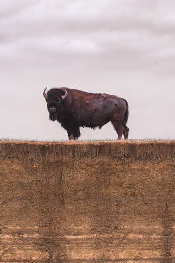Badlands National Park