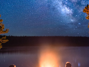 Medicine Bow National Forest