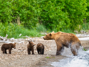 Katmai National Park and Preserve