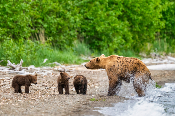 Katmai National Park and Preserve