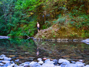 Willamette National Forest