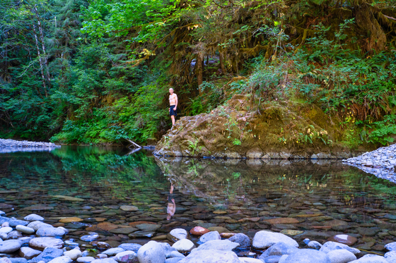 Willamette National Forest
