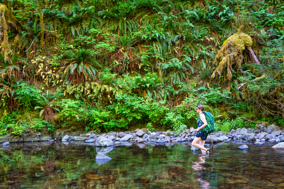Willamette National Forest