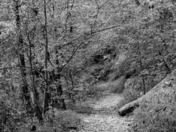 Great Smoky Mountains National Park