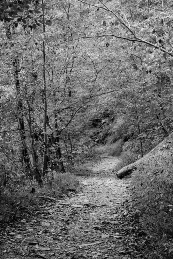 Great Smoky Mountains National Park
