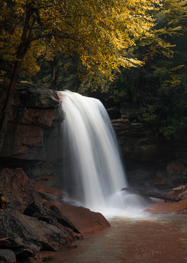 Monongahela National Forest