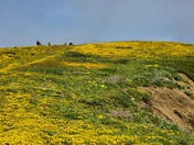 Golden Gate National Recreation Area
