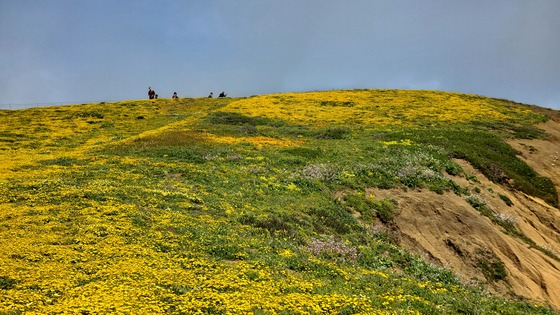 Golden Gate National Recreation Area